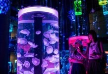 Cuộc sống tràn ngập công nghệ tương lai ở Nhật Bản Cuộc sống tràn ngập công nghệ tương lai ở Nhật Bản