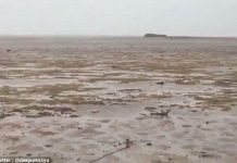 Bão Irma rút cạn nước biển, hiện tượng kỳ quái hiếm thấy