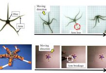 Phát triển được robot sao biển biết khắc phục những tổn thương bất ngờ