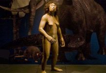 Khám phá mới về "người hobbit”