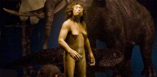 Khám phá mới về "người hobbit”