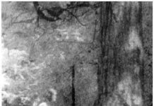 Những bức ảnh ma nổi tiếng thế giới