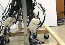 Chân robot di chuyển như chân người