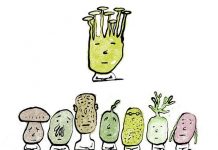 Nấm – từ sát thủ đến bạn đồng hành trong bữa tối