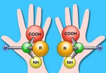 Xác suất để sự sống hình thành tự phát theo thuyết tiến hóa là “nhỏ đến không tưởng”