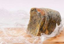 Bao bì thực phẩm chống nấm mốc