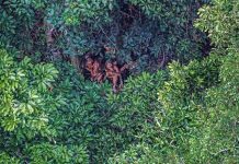 Cuộc sống bất biến qua 20.000 năm của bộ lạc rừng Amazon