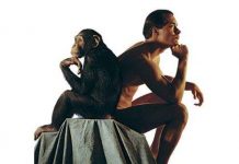 Loài người biết nói nhờ đột biến gene