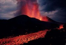 Sự sống trên Trái Đất sẽ tồn tại bao lâu