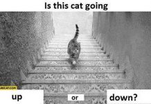 Giải mã tranh ảo giác "Chú mèo trên cầu thang" gây sốt