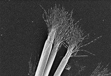 Ánh sáng bẻ cong vật chất