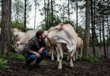 Quy trình cấp đông thịt bò đắt nhất thế giới