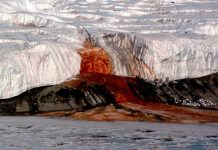 Những hiện tượng tự nhiên khiến giới khoa học đau đầu lý giải