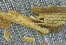 Tìm thấy manh mối mới về sự sống cổ đại trên sao Hỏa