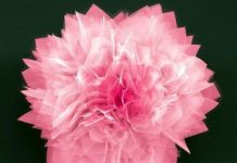 Tế bào quang năng kiểu mới