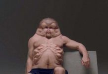 Mô hình người có thể sống sót trong tai nạn giao thông