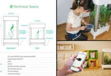 Thiết bị giúp trồng rau quả trong phòng