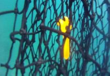 Lưới đánh cá tự hủy sinh học