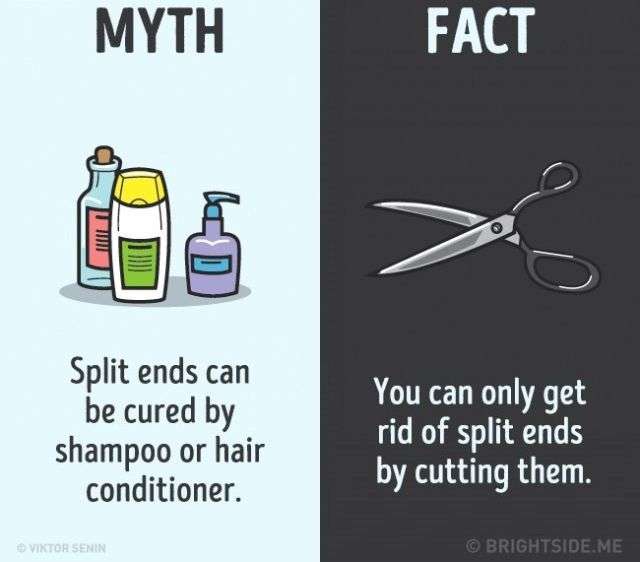 12 nhận thức sai lầm bạn vẫn luôn tin là đúng