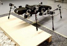 Robot bọ que 6 chân