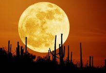 Siêu trăng là gì? Việt Nam sẽ đón Siêu trăng vào thời điểm nào?