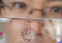 Thấu kính kết hợp mắt người – côn trùng