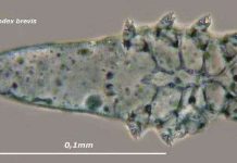 Những phát hiện "gây shock" về cơ thể bạn