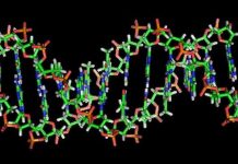 Mã vạch ADN chống hàng dỏm