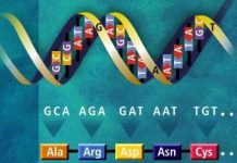 Sử dụng phần mềm HHBLITS cải tiến phương pháp so sánh chuỗi protein