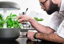 Vườn thủy canh thông minh trong phòng