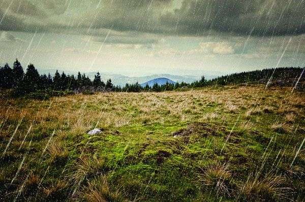 Các mùi hương con người thấy quen thuộc nhưng khó diễn tả