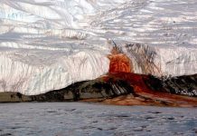 "Thác máu": Bí ẩn 106 năm ở Nam Cực vừa được khoa học giải mã