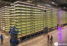 Các trang trại thẳng đứng đáng chú ý trên thế giới