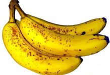 Tại sao chuối xuất hiện đốm nâu lấm tấm khi chín?