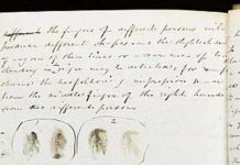 Điều chưa biết về dấu vân tay