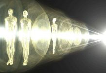 Học thuyết lượng tử về nhận thức: Linh hồn là một dạng thông tin