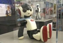 Trong thập kỷ tới, robot sẽ thay thế smartphone?