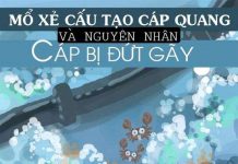Tìm hiểu nguyên nhân khiến cáp quang "hơi tí" là đứt