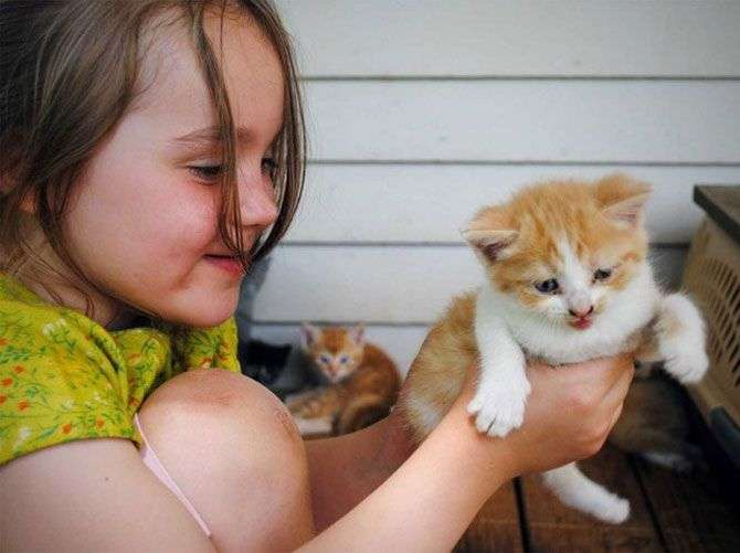 Những đặc điểm quái gở cho biết bạn là người có IQ cao