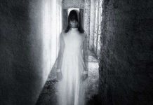 Tại sao khi sợ ma chúng ta lại... tè ra quần?