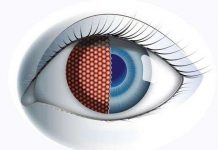 Chế tạo mắt ruồi nhân tạo cho máy bay không người lái