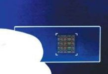 Mang “nhà thuốc” trong người