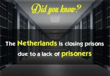 19 sự thật vô cùng thú vị bạn không nên bỏ qua