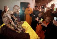 Cận cảnh xác ướp nhà sư ngồi thiền ở tư thế hoa