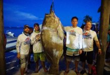 Lặn biển, bắt được cá mú khổng lồ to gấp đôi người