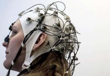 ​Đã có thể tải kiến thức vào não người?