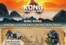 "Kong: Skull Island": Kong to lớn tới mức nào ở ngoài đời thật?