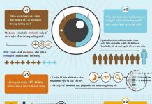 Những điều thú vị về mắt người