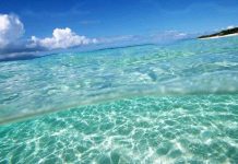 Vì sao có bãi biển nước trong vắt đẹp rực rỡ, biển khác lại đục ngầu?