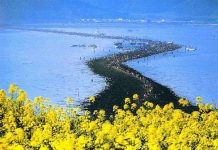 Giải mã bí ẩn "biển tách làm đôi" ở Hàn Quốc